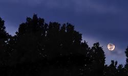 Featured image of post Thinking